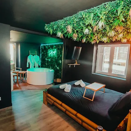 Apartment Jungle