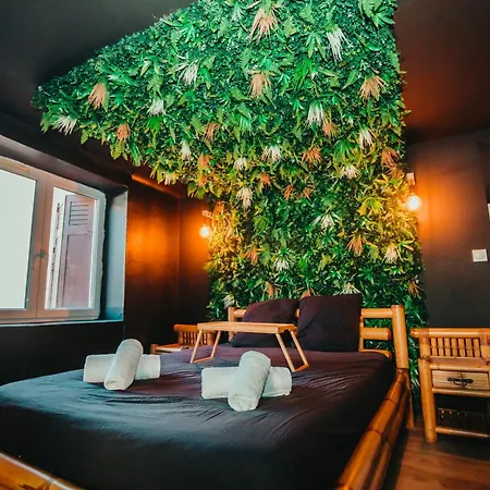 Apartment Jungle *